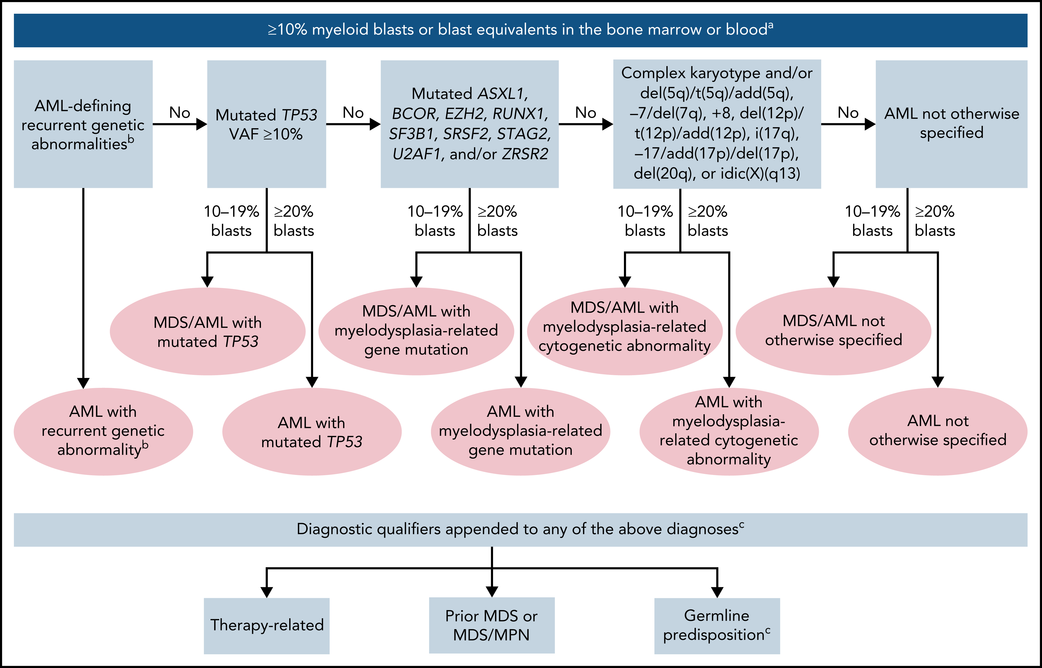 aml-classification.png